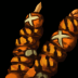 Skewers