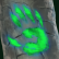Forest Affinity