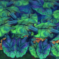 Thumbnail for version as of 00:56, 29 November 2023