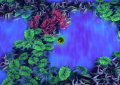 Thumbnail for version as of 14:08, 4 February 2024