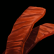 Jerky Delivery Line