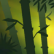 Lost in the Wilds (Stormforged)