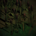 Thumbnail for version as of 16:35, 1 November 2022