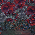 Thumbnail for version as of 00:50, 29 November 2023