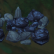 Coal Vein