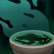 The Green Brew