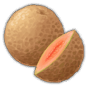 File:Resource Melon.png