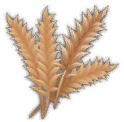 File:Resource Wheat.png