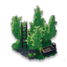 Orchard