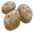 Potato