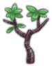Sapling