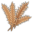 Wheat