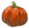 Squash