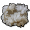 Raw Wool