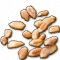 Oat Grain
