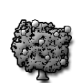 Thumbnail for version as of 15:32, 17 March 2023