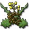 Neep Seeds