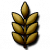 Oats