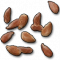 Flax Seed