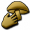 Pick Mushrooms