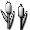 Thumbnail for version as of 15:30, 17 March 2023