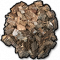 Bark