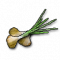 Onions