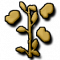 Bean Patch