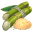 Sugar Cane