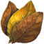 Tobacco