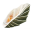 Seashells