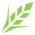 A Large Icon