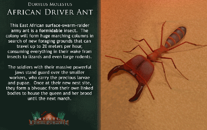 File:Concept Driver.gif