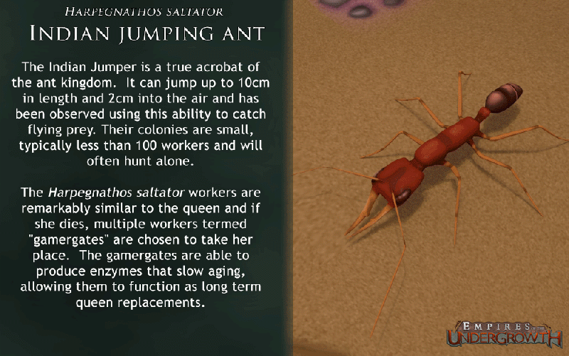 File:Concept Jumping.gif