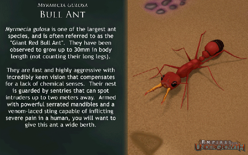 File:Concept Bull.gif