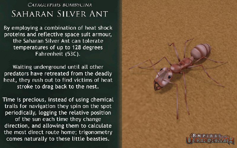 File:Concept Silver.gif