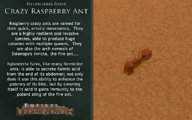 File:Concept Rasberry.gif