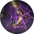 Thumbnail for version as of 00:08, 27 October 2025