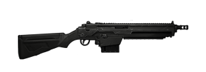 C1A2 SPC.png