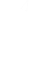 Thumbnail for version as of 03:36, 7 February 2026