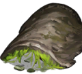 Thumbnail for version as of 14:33, 11 February 2026