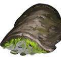Thumbnail for version as of 20:48, 25 April 2026