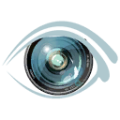 Thumbnail for version as of 08:05, 13 November 2022