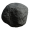 Proteus