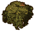 Thumbnail for version as of 17:00, 26 November 2025