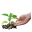 Study about influence of fertilizing to the yield of the fields