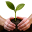 It's important to think about nature and forest. This research will introduce strict policy for woodcutting offices - one tree down will mean one tree planted