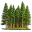 Discipline about forest and it's management